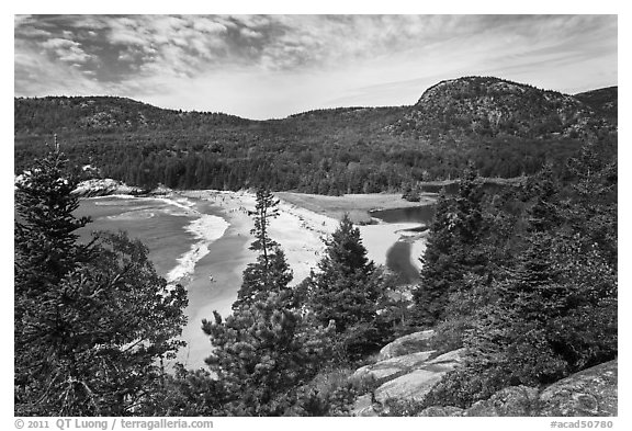Sand Beach and Behive. Acadia National Park (black and white)