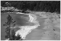 Sand Beach from above. Acadia National Park, Maine, USA. (black and white)