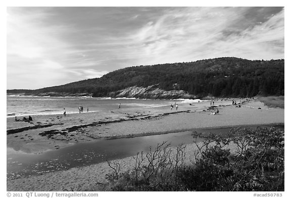 Tidal creek and Sand Beach. Acadia National Park (black and white)