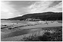 Tidal creek and Sand Beach. Acadia National Park ( black and white)