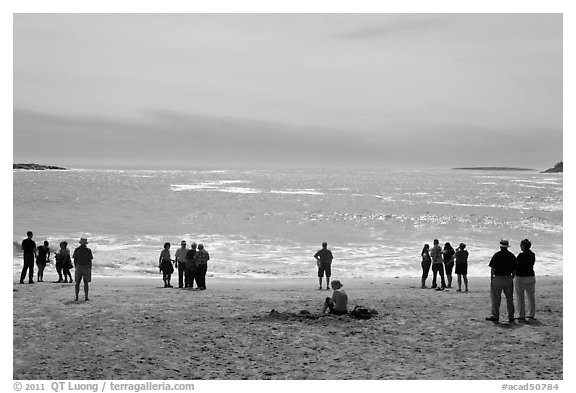 People looking at ocean from Sand Beach. Acadia National Park (black and white)
