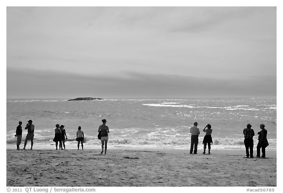 People standing on Sand Beach. Acadia National Park, Maine, USA.