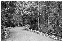 Carriage road in summer. Acadia National Park, Maine, USA. (black and white)