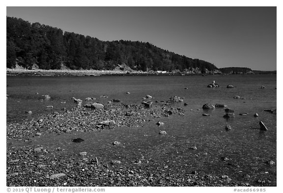 Bar Harbor Island at low tide. Acadia National Park (black and white)