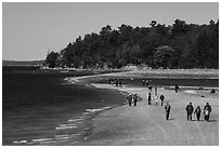 Tourists walking back from Bar Harbor Island with tide rising. Acadia National Park ( black and white)
