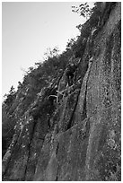 Hikers on vertical section of Precipice Trail. Acadia National Park ( black and white)