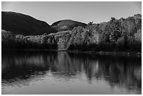 Trees in autumn foliage reflected in pond, Otter Creek. Acadia National Park ( black and white)