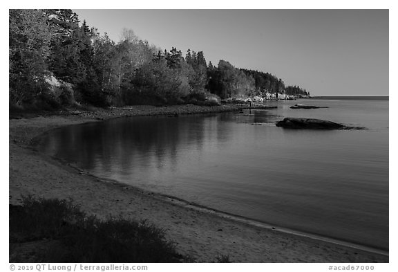 Autumn reflections, Otter Cove. Acadia National Park (black and white)