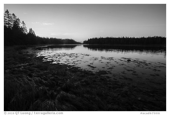 West Pond at sunrise, Schoodic Peninsula. Acadia National Park (black and white)