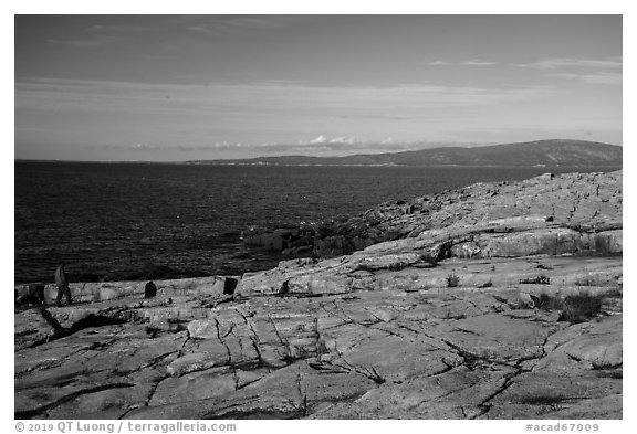 Visitor looking, Schoodic Point. Acadia National Park (black and white)