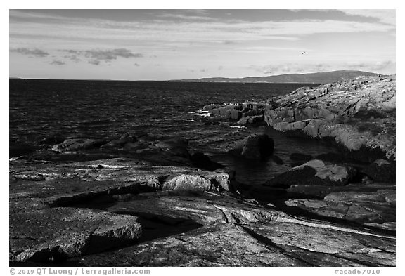 Schoodic Point. Acadia National Park (black and white)