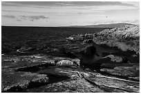 Schoodic Point. Acadia National Park ( black and white)