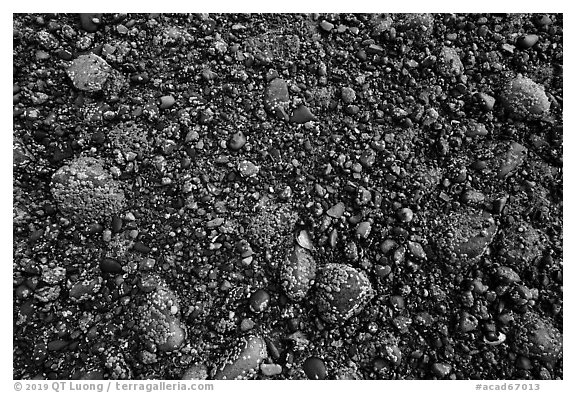 Close up of sea floor exposed at low tide. Acadia National Park (black and white)
