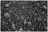 Close up of sea floor exposed at low tide. Acadia National Park ( black and white)