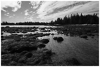East Pond and Little Moose Island at low tide. Acadia National Park ( black and white)