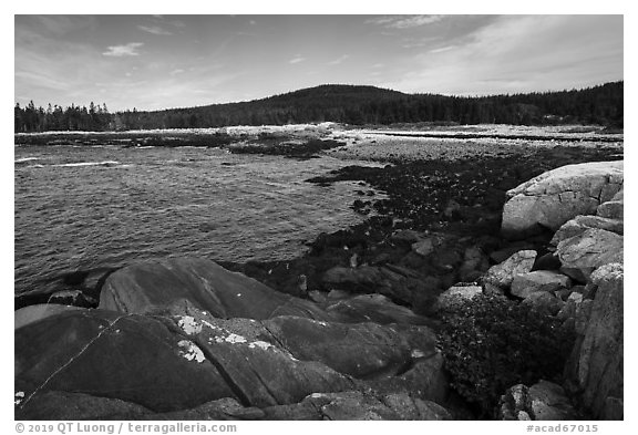 Schoodic Head from Little Moose Island. Acadia National Park (black and white)