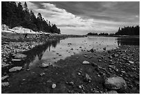 East Pond, low tide. Acadia National Park ( black and white)