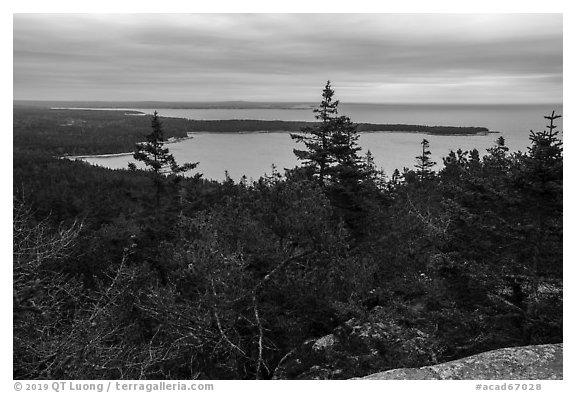 View from Schoodic Head. Acadia National Park (black and white)