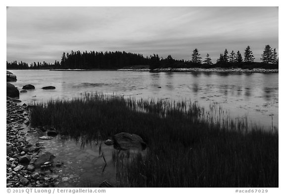 East Pond and  Little Moose Island at high tide. Acadia National Park (black and white)