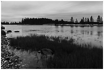 East Pond and  Little Moose Island at high tide. Acadia National Park ( black and white)