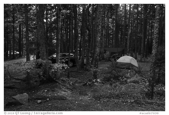 Blackwoods Campground. Acadia National Park (black and white)