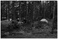 Blackwoods Campground. Acadia National Park ( black and white)