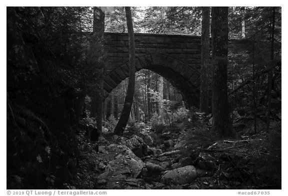 Hemlock Bridge over Maple Spring Brook. Acadia National Park (black and white)