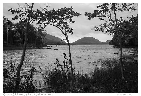 Eagle Lake on cloudy day. Acadia National Park (black and white)