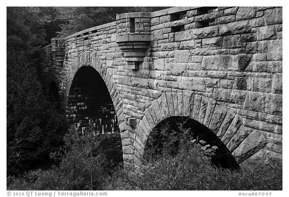 Tripled-arched Duck Brook Bridge. Acadia National Park (black and white)