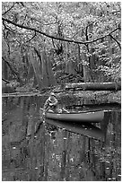 Canoing on Cedar Creek. Congaree National Park, South Carolina, USA. (black and white)