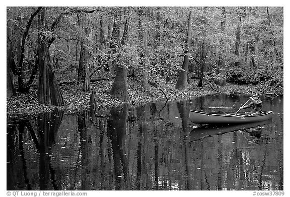 Man paddling a red canoe on Cedar Creek. Congaree National Park, South Carolina, USA.