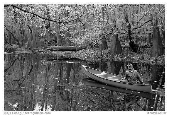 Canoist on Cedar Creek. Congaree National Park (black and white)