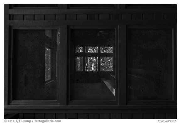 Harry Hampton Visitor Center window. Congaree National Park (black and white)