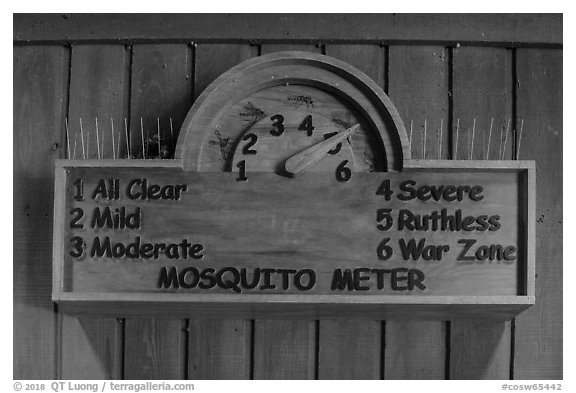 New mosquito meter. Congaree National Park (black and white)