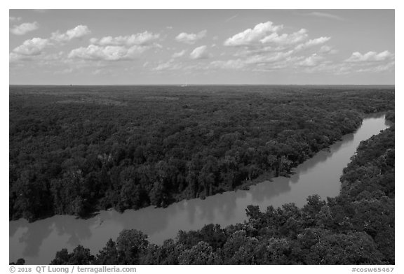 Aerial view of Congaree River. Congaree National Park (black and white)