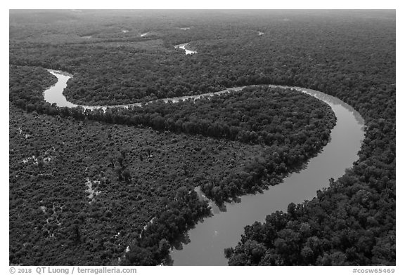 Aerial view of bends of the Congaree River. Congaree National Park (black and white)