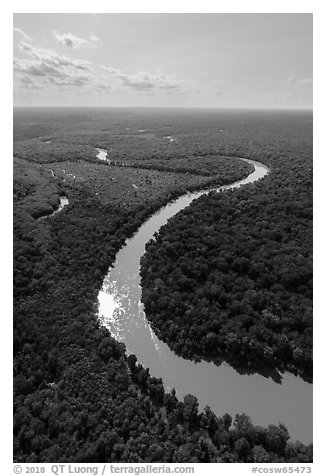 Aerial view of Congaree River with meanders. Congaree National Park (black and white)