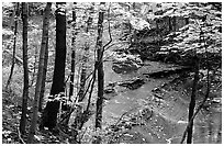 Trees and creek with Cascades near Bridalveil falls. Cuyahoga Valley National Park, Ohio, USA. (black and white)