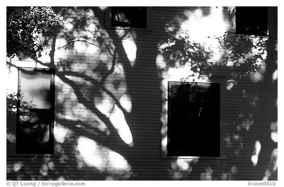 Tree shadows on wall. Cuyahoga Valley National Park (black and white)