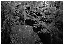 Trees and sandstone blocs,  The Ledges. Cuyahoga Valley National Park ( black and white)