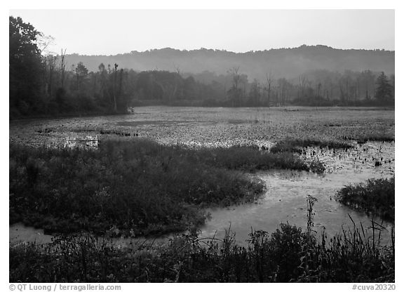 Grasses and Beaver Marsh at sunrise. Cuyahoga Valley National Park (black and white)