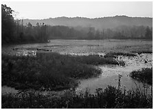 Grasses and Beaver Marsh at sunrise. Cuyahoga Valley National Park, Ohio, USA. (black and white)