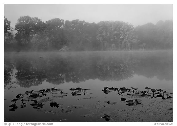 Mist on Kendall Lake, Virginia Kendall Park. Cuyahoga Valley National Park (black and white)