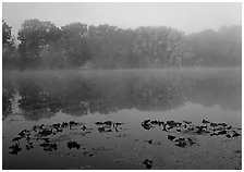 Mist on Kendall Lake, Virginia Kendall Park. Cuyahoga Valley National Park ( black and white)