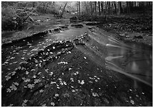 Cascades and fallen leaves. Cuyahoga Valley National Park ( black and white)
