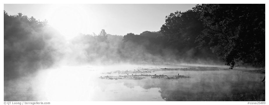 Sun rising above misty lake at dawn. Cuyahoga Valley National Park (black and white)