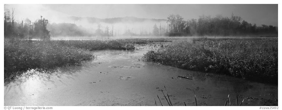 Misty marsh scenery, early morning. Cuyahoga Valley National Park (black and white)
