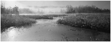 Misty marsh scenery, early morning. Cuyahoga Valley National Park (Panoramic black and white)