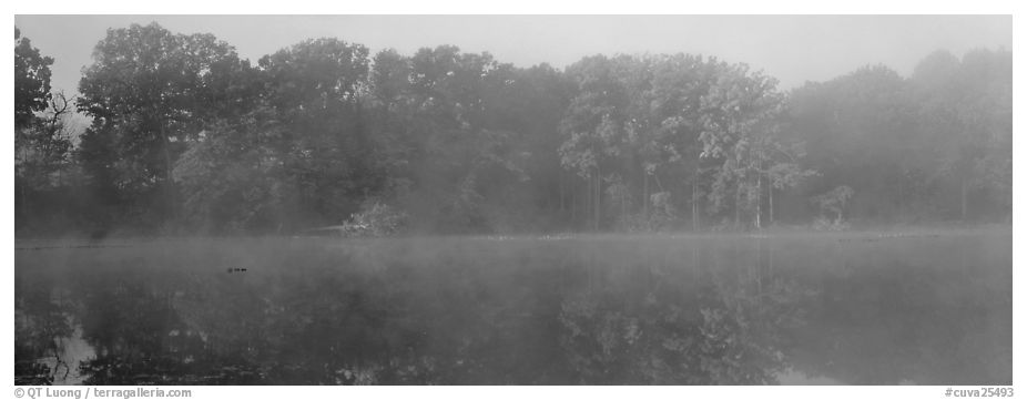 Trees reflected in foggy pond. Cuyahoga Valley National Park (black and white)