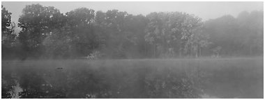 Trees reflected in foggy pond. Cuyahoga Valley National Park (Panoramic black and white)